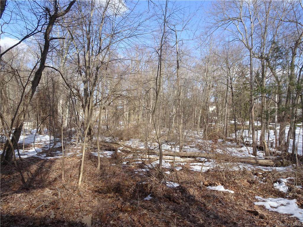 25 Briar Lane - Photo 1