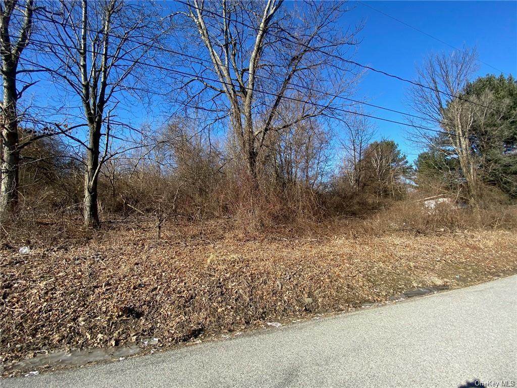 Wyms Heights Road - Photo 1
