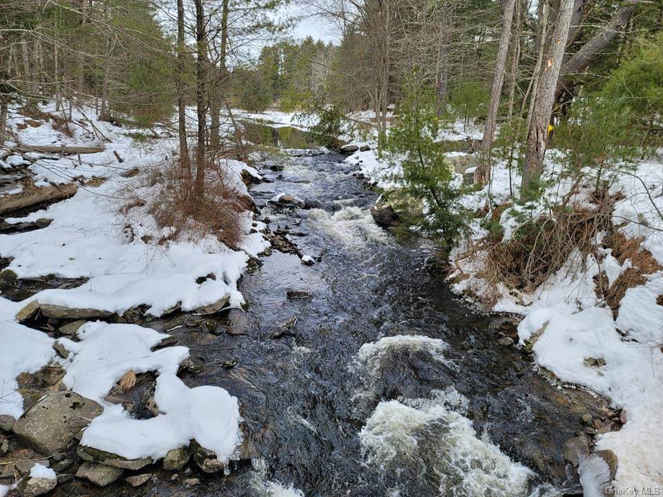 Schumacher Pond Road - Photo 1