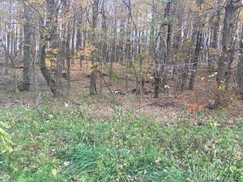 2320 Route 52 - Photo 1