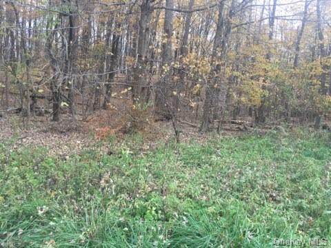 8 Deerwood Drive - Photo 1