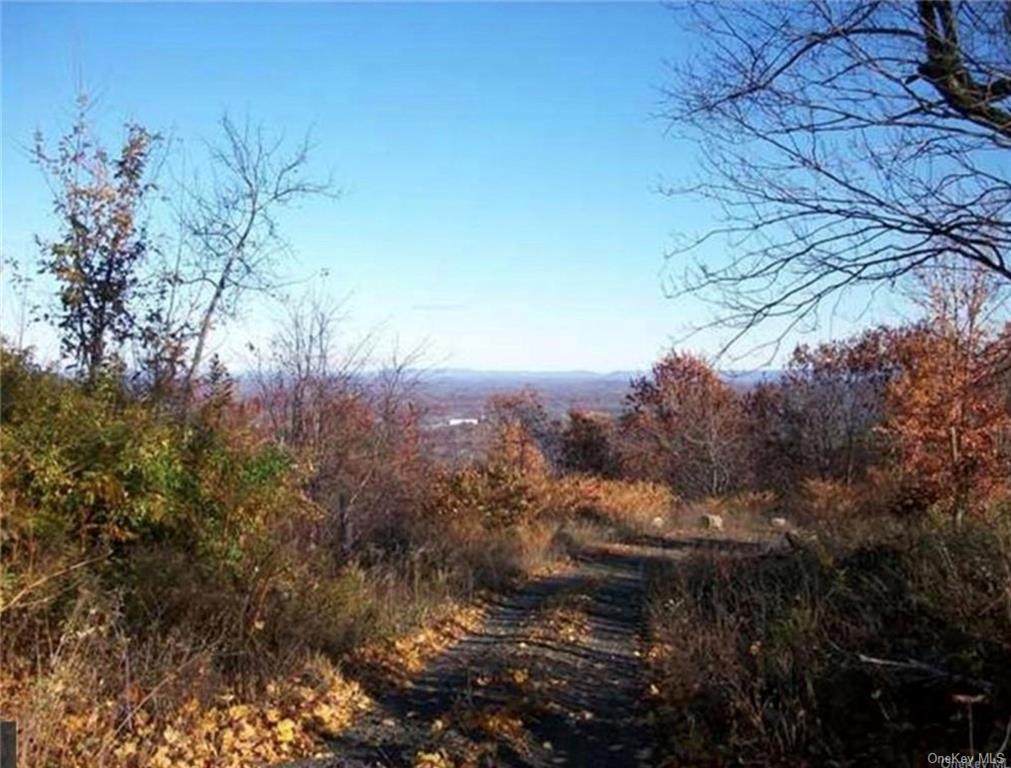 338 Mountain Road - Photo 1