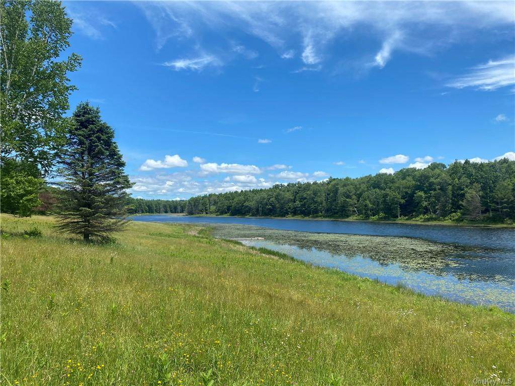 Nys Hwy 55 - Photo 1