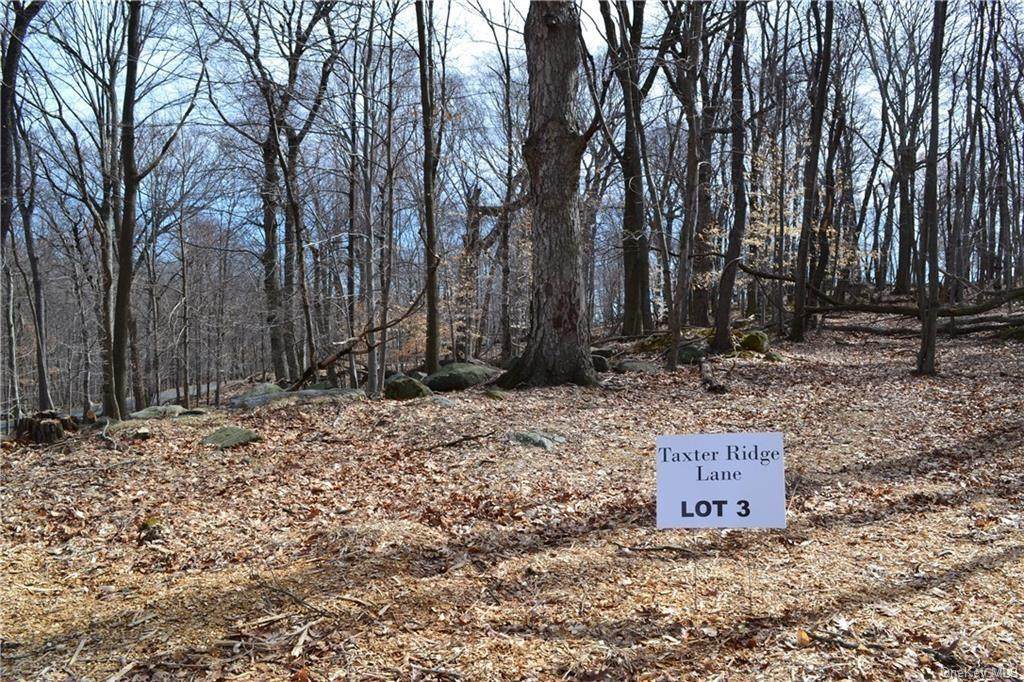 Lot 3 Taxter Ridge Lane - Photo 1