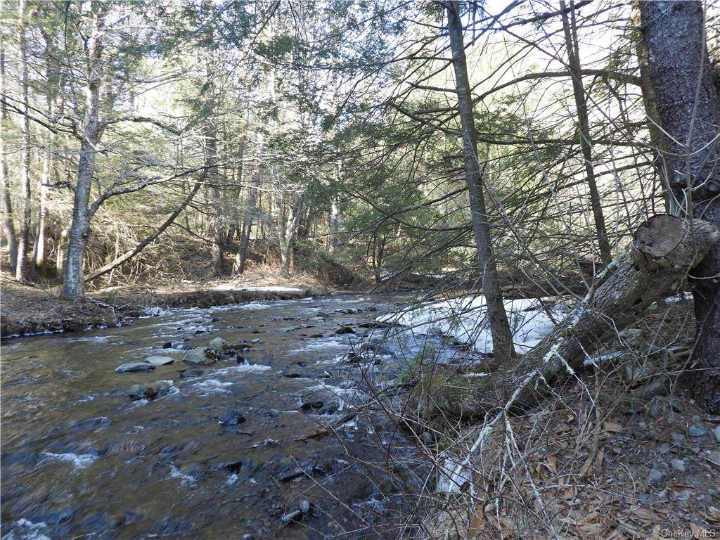Lower Lumber Road - Photo 1