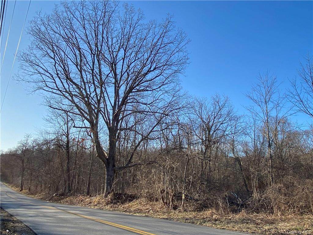 360 Bullet Hole Road - Photo 1