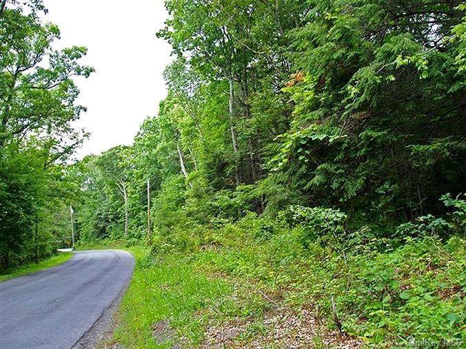 Big Woods Road - Photo 1