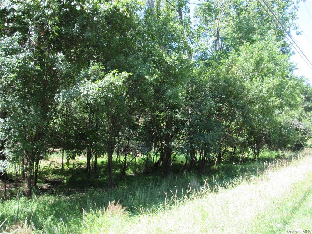 243 Scotchtown Road - Photo 1