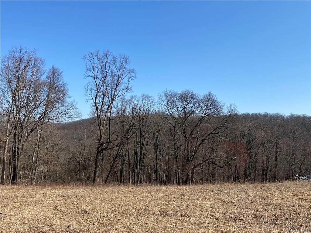 1002 Old Albany Post Road - Photo 1