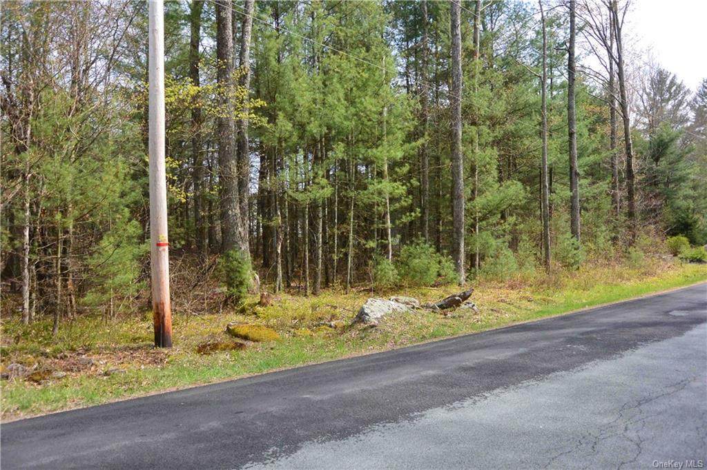 Dill Rd Road - Photo 1