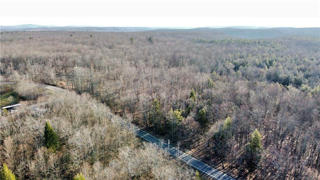 Fox Mountain Road - Photo 1