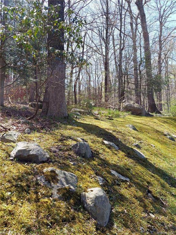 Pine Road & Pepperidge Road - Photo 1