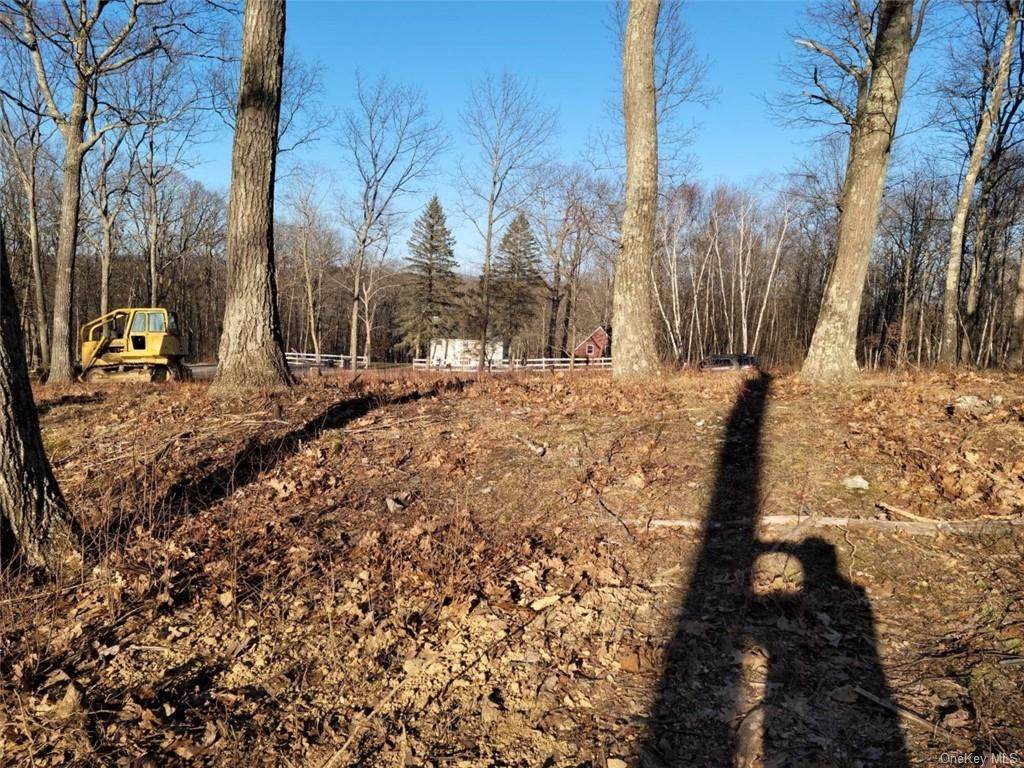 Ridgecrest Lane - Photo 1