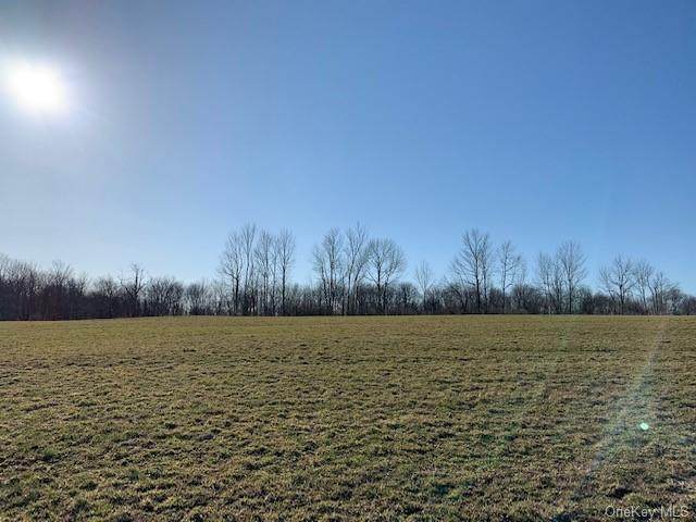 Stump Pond Road - Photo 1
