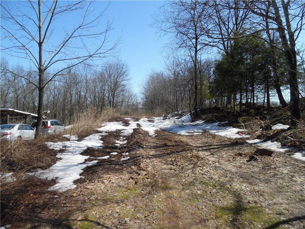 Hurd & Parks Road Tr 47 - Photo 1