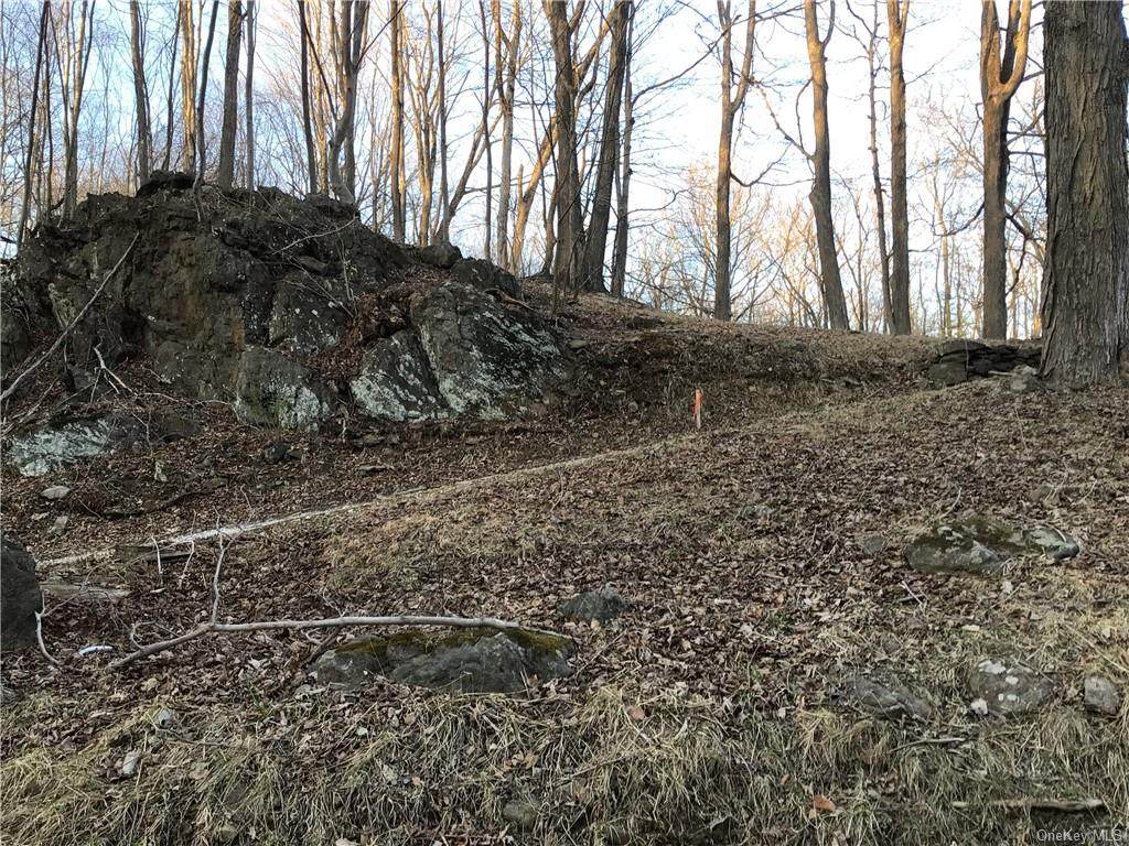 Quaker Hill Road - Photo 1
