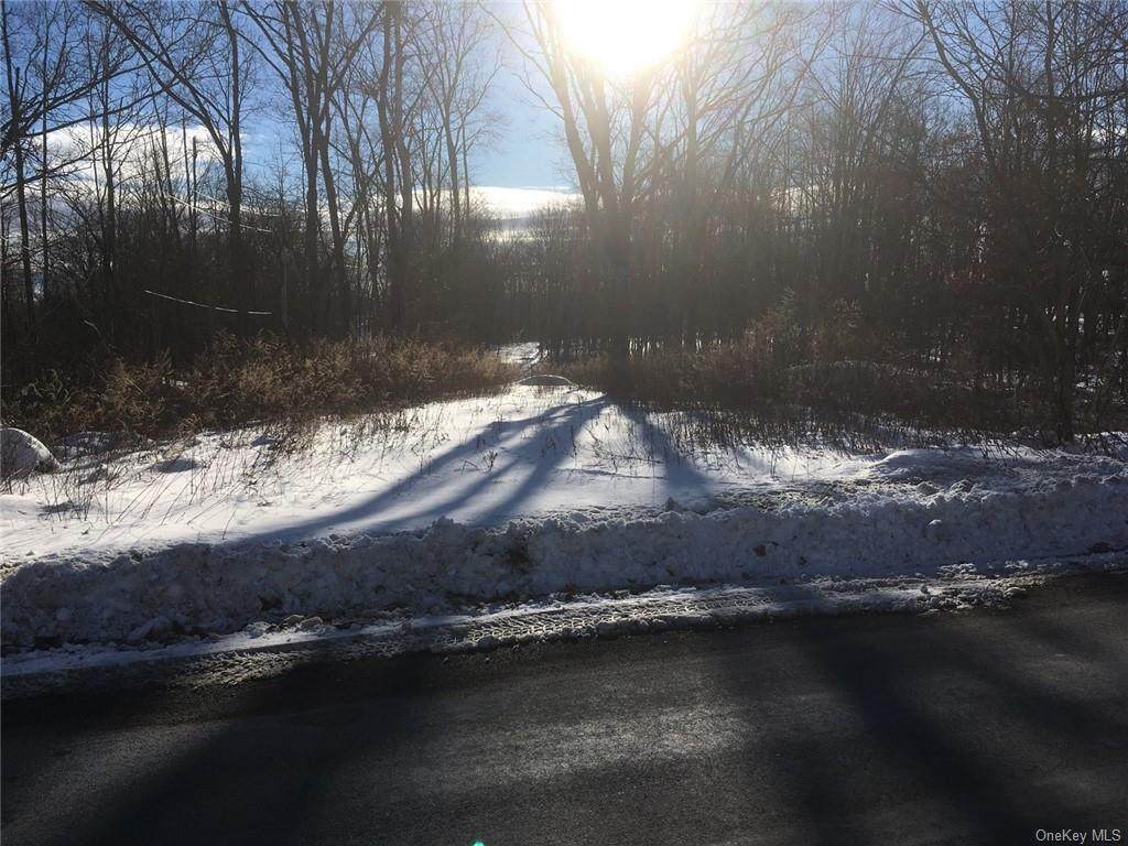 Roosa Gap Road - Photo 1