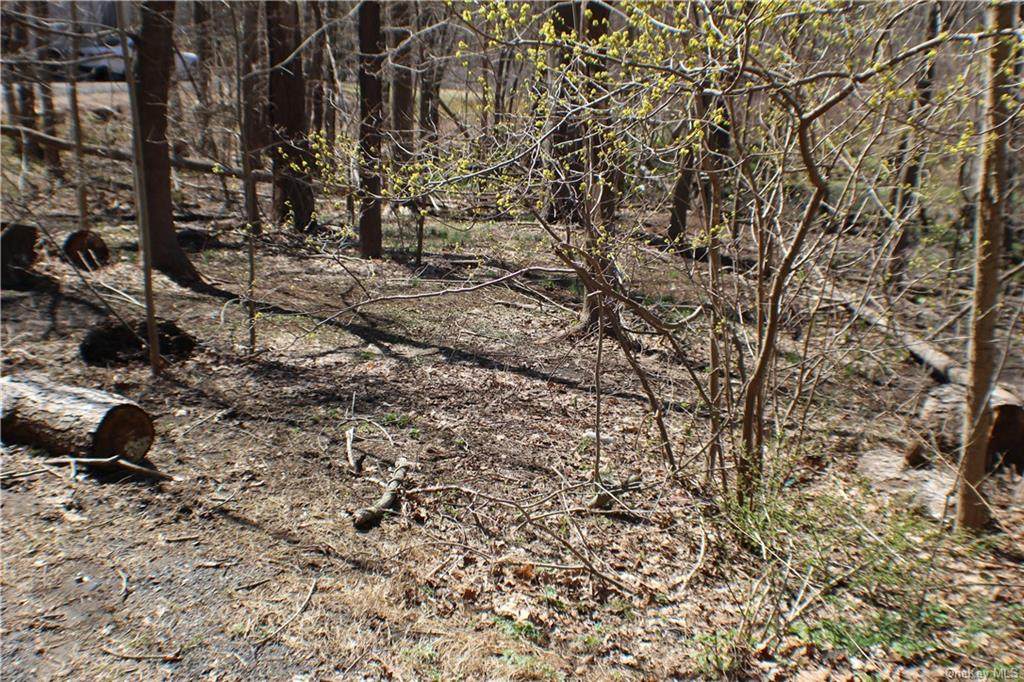 232 Greenbush Road - Photo 1
