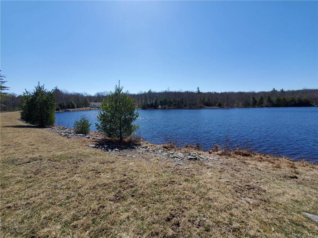 Pine Lake Drive - Photo 1