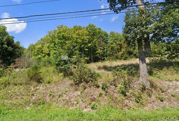 146 Pine Island Turnpike - Photo 1