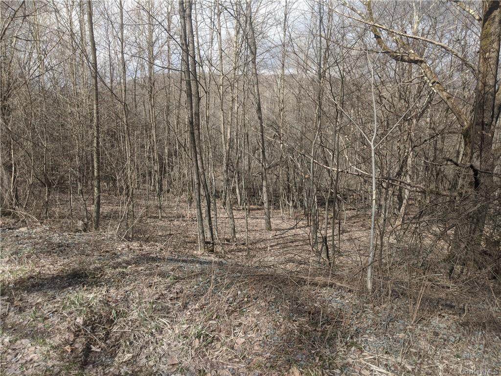 Blackberry Lake Road - Photo 1