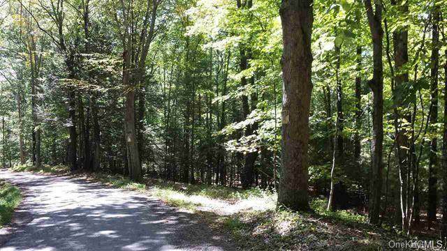Tempaloni Road - Photo 1
