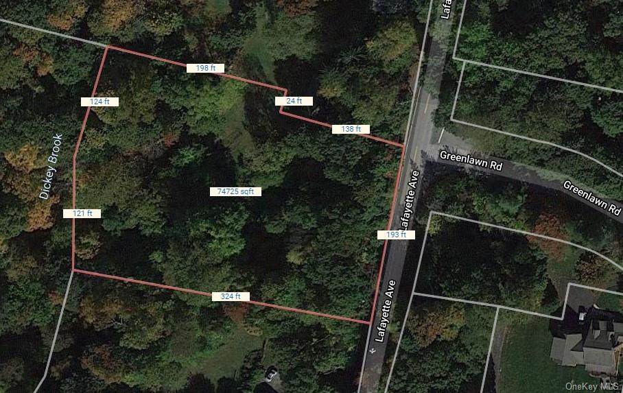 Lot 14.3 Lafayette Avenue - Photo 1