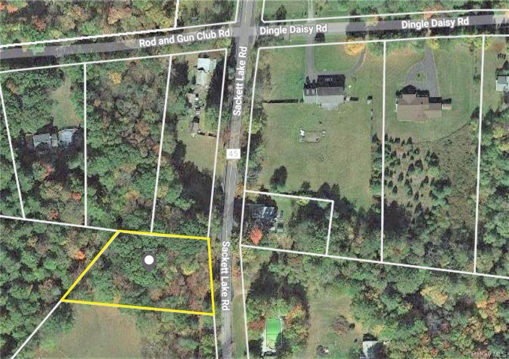 Sackett Lake Road - Photo 1