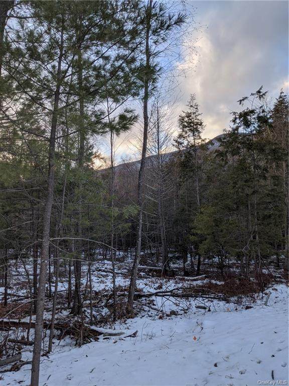 35 Hanna Lane / Co Road 3 - Photo 1