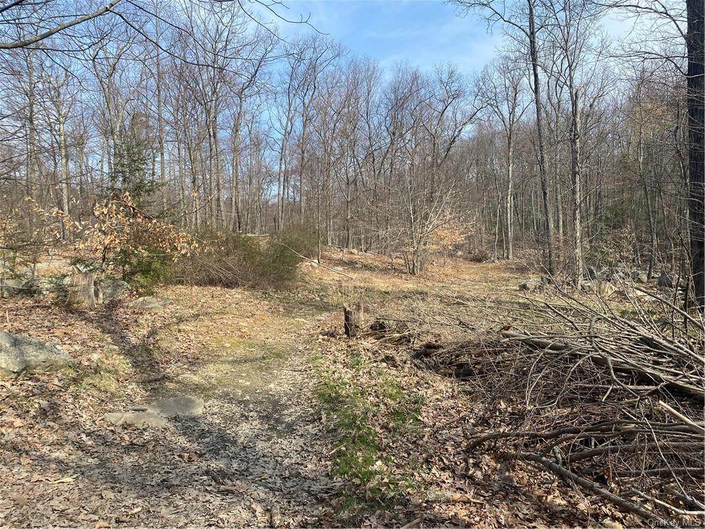 Cascade Road - Photo 1