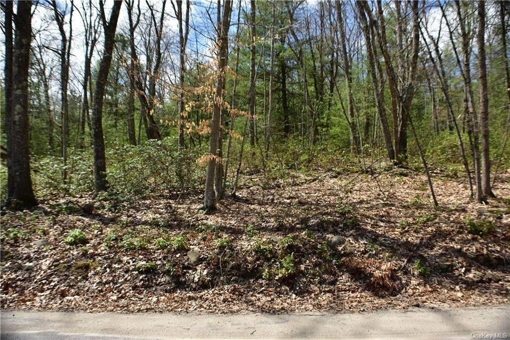 Lot 1.3 Bennett Road - Photo 1