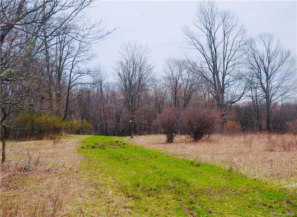 State Rte 55 - Photo 1