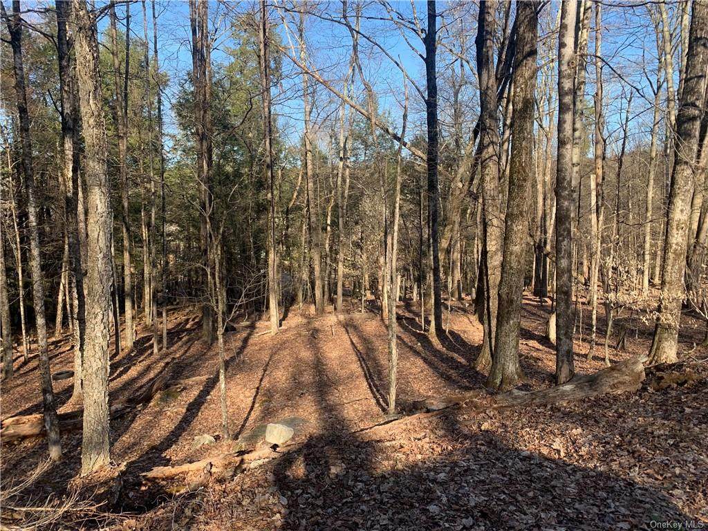 Dryer Road Tr 29 - Photo 1