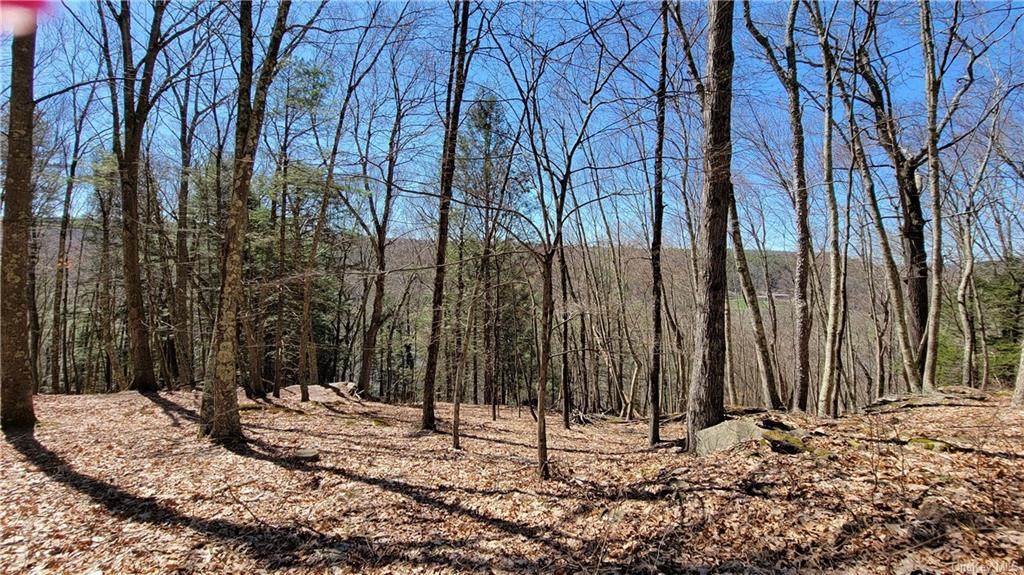 6 State Route 97 - Photo 1