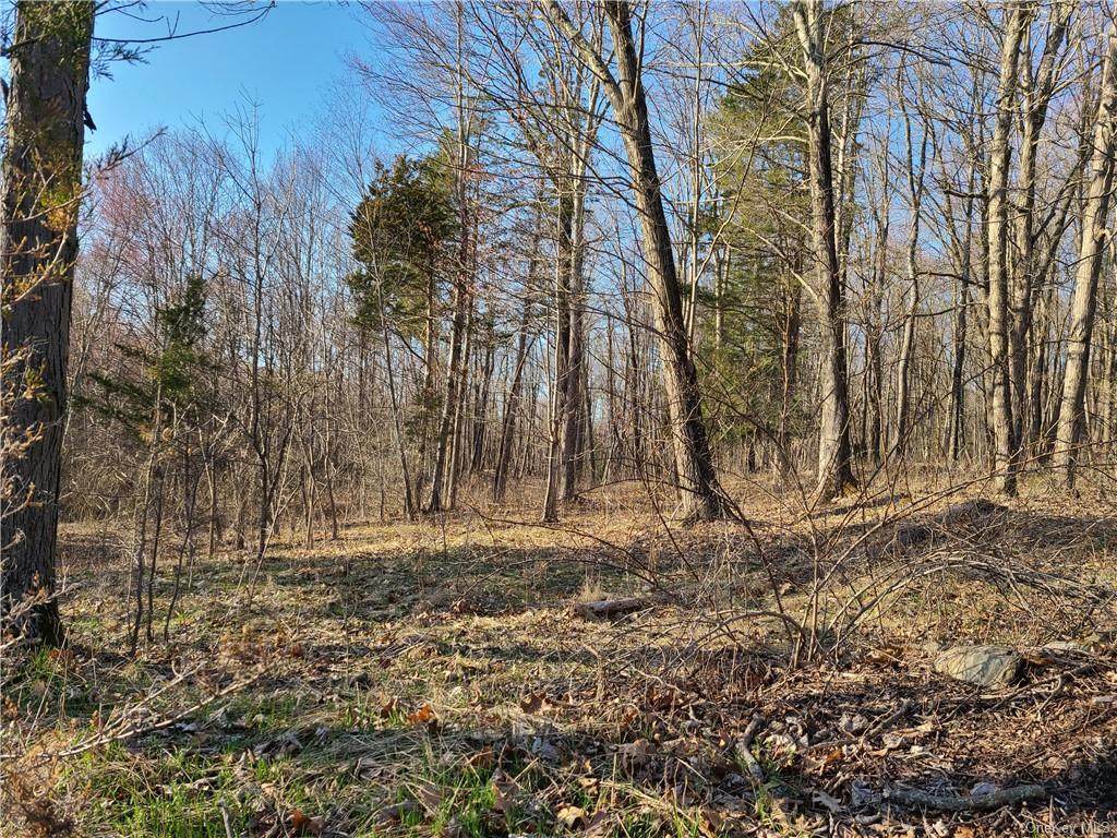 103 Cardinal Road - Photo 1