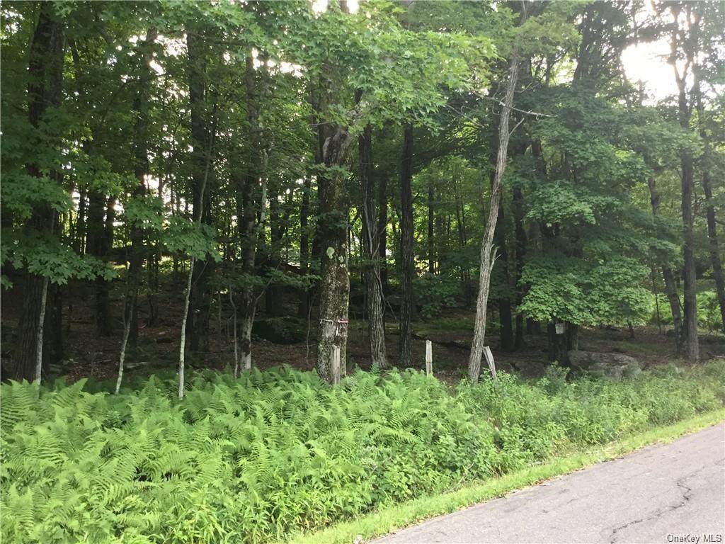 Grey Road Tr 39 - Photo 1