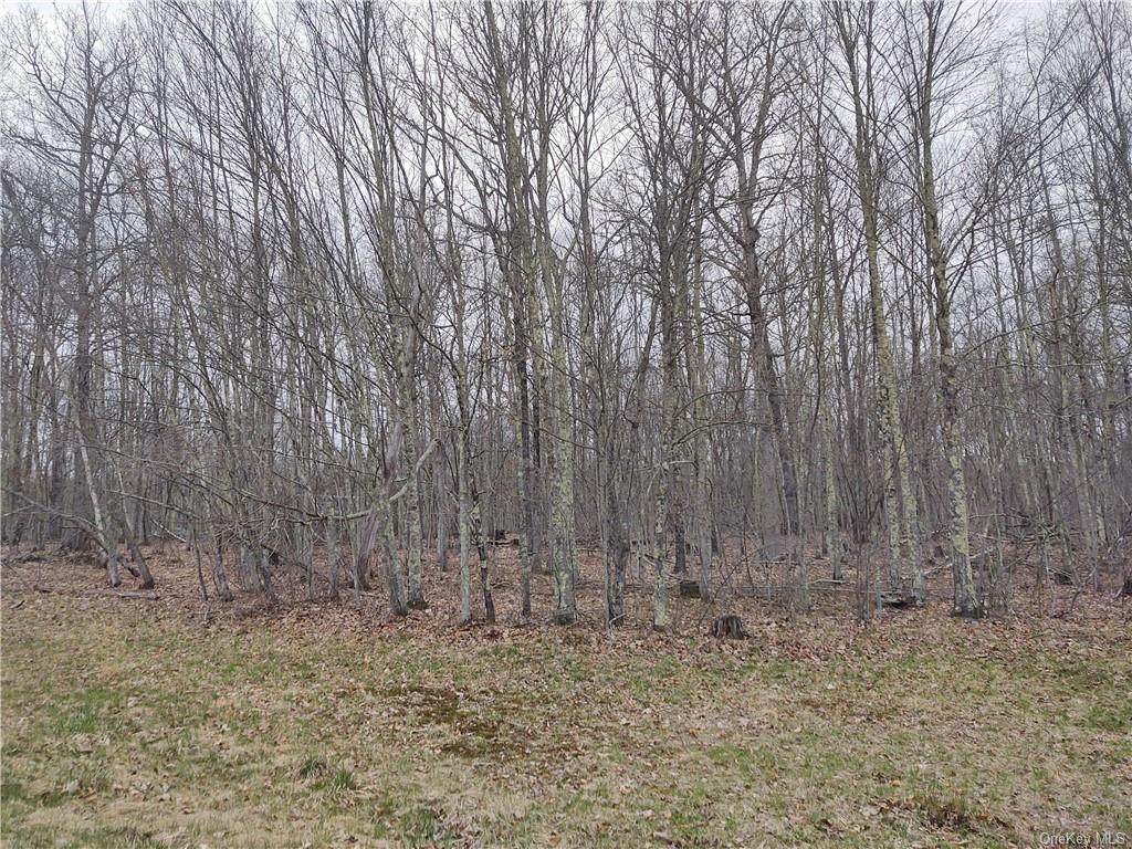 Maple Lane - Photo 1