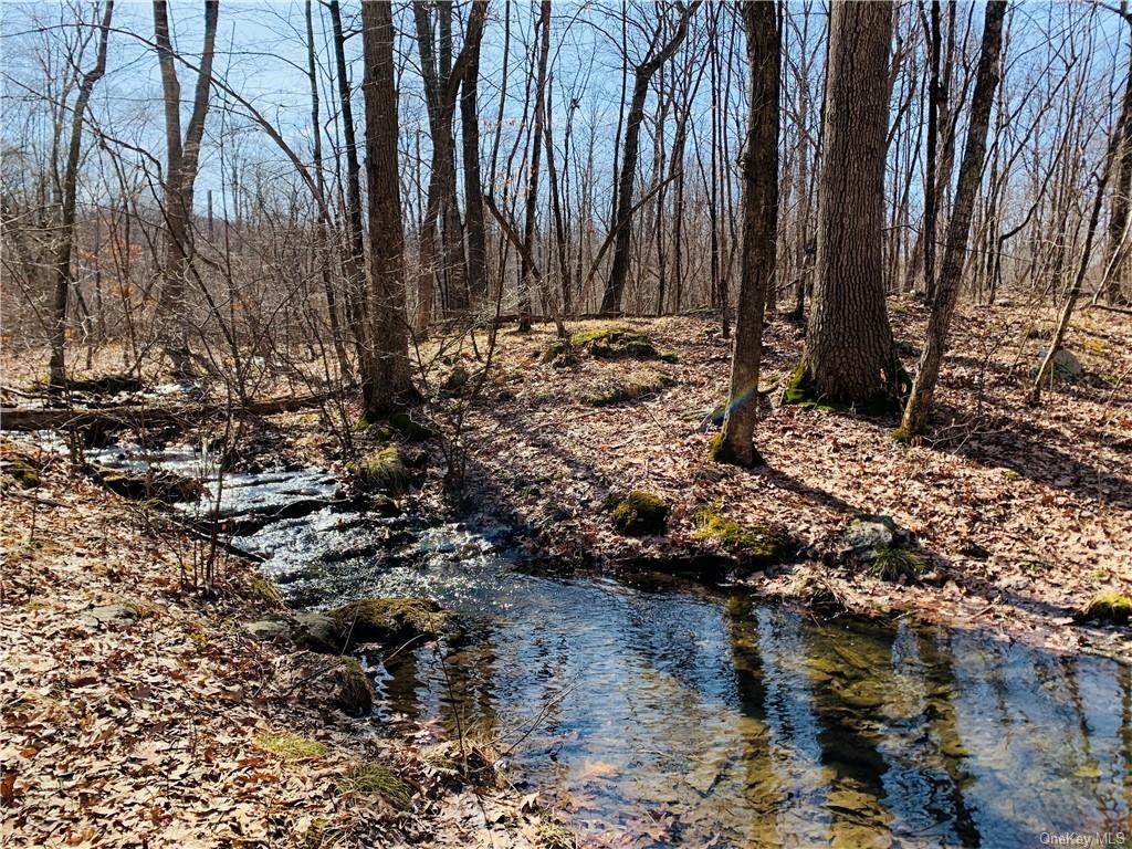 Fallkill Road - Photo 1