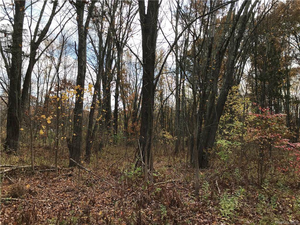 Route 44 55 - Photo 1