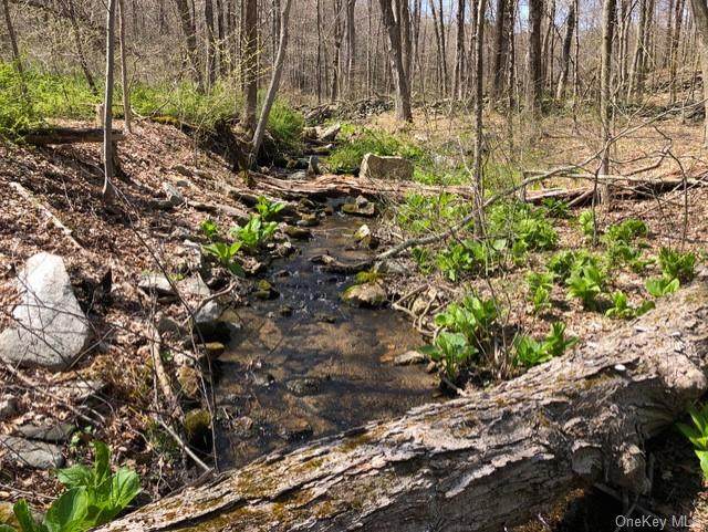 Ice Pond Road - Photo 1
