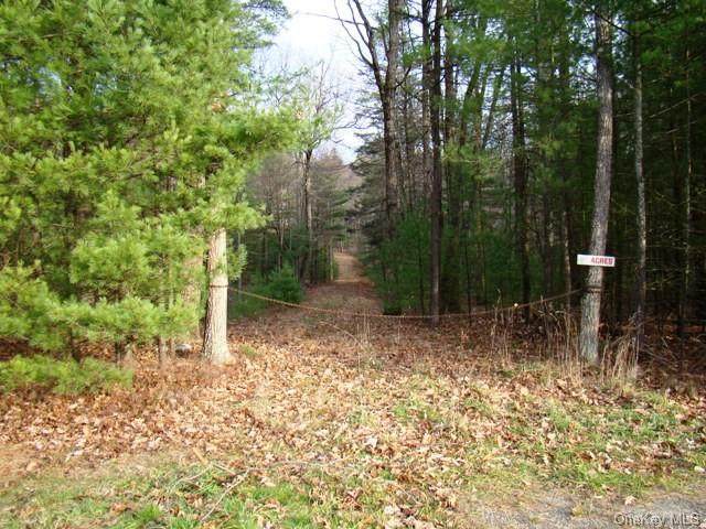 Route 42 - Photo 1