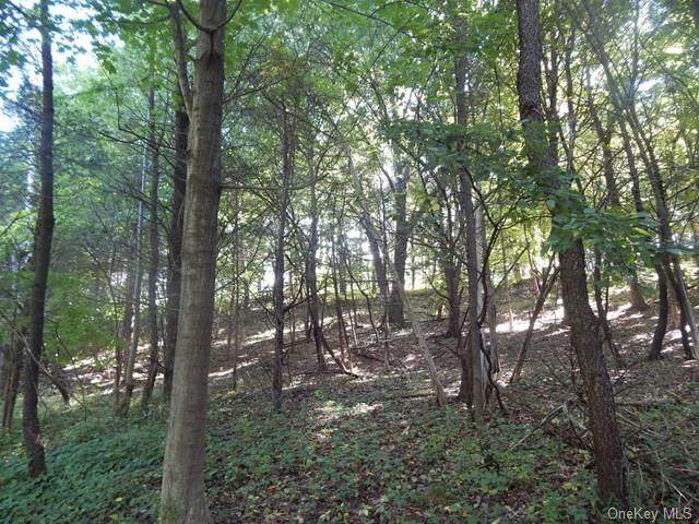 Old Albany Post Road - Photo 1