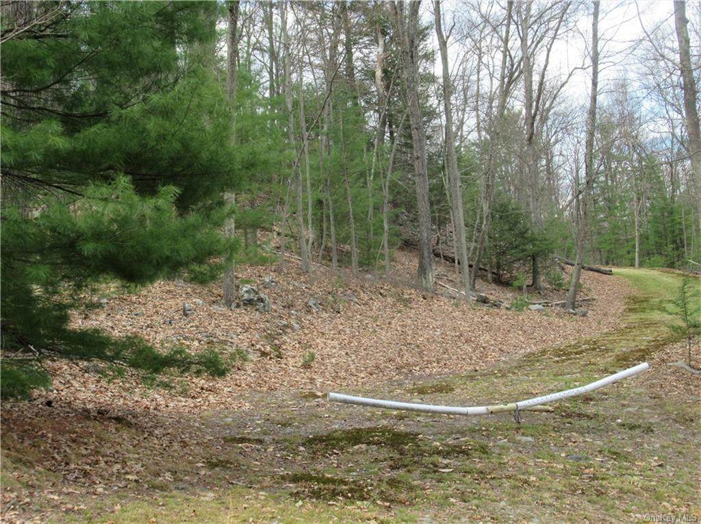 32 Old Country Road - Photo 1