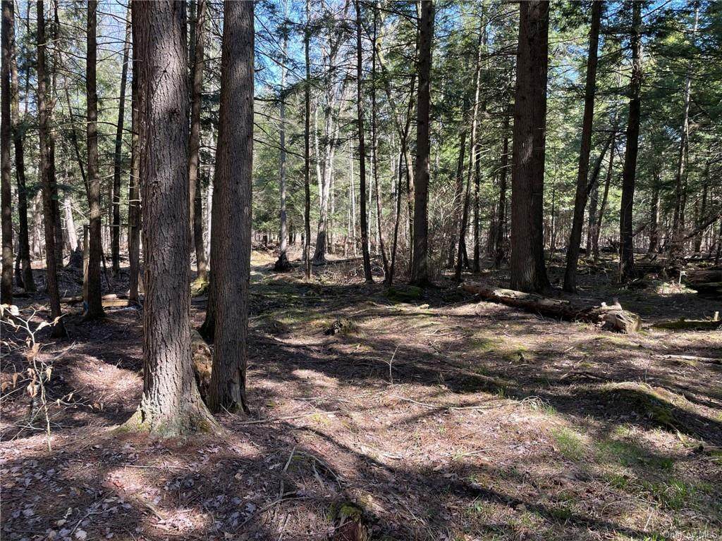Big Woods Road - Photo 1