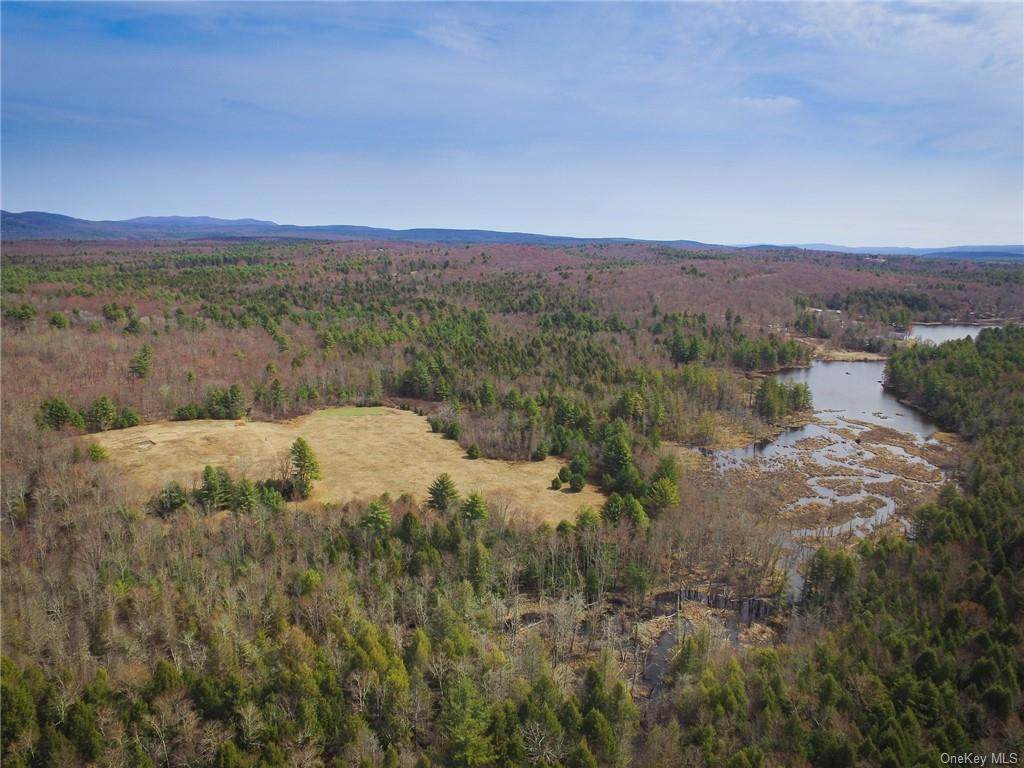 Camp Road - Photo 1
