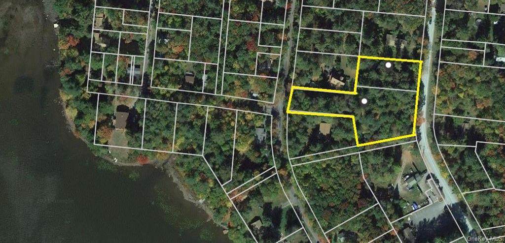 Lakeview And Pine Grove Road - Photo 1