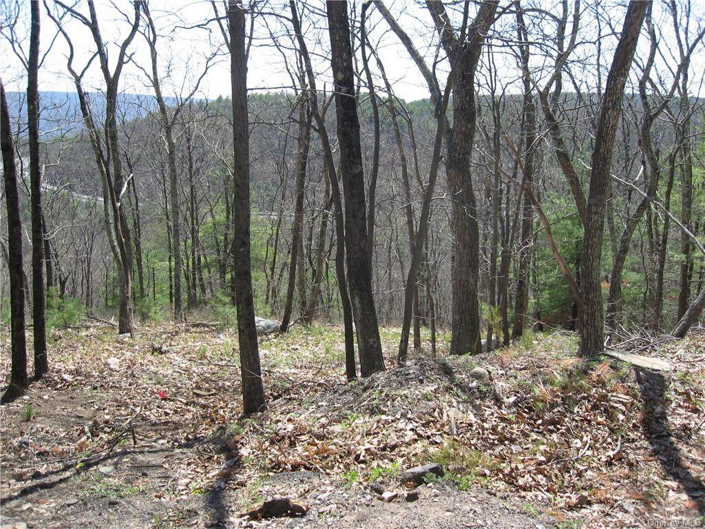 Rocky Trail - Photo 1