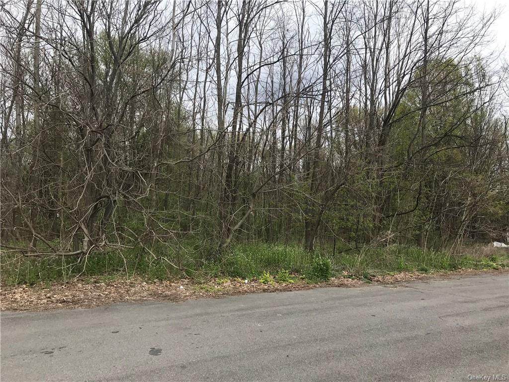 7730 State Route 209 - Photo 1