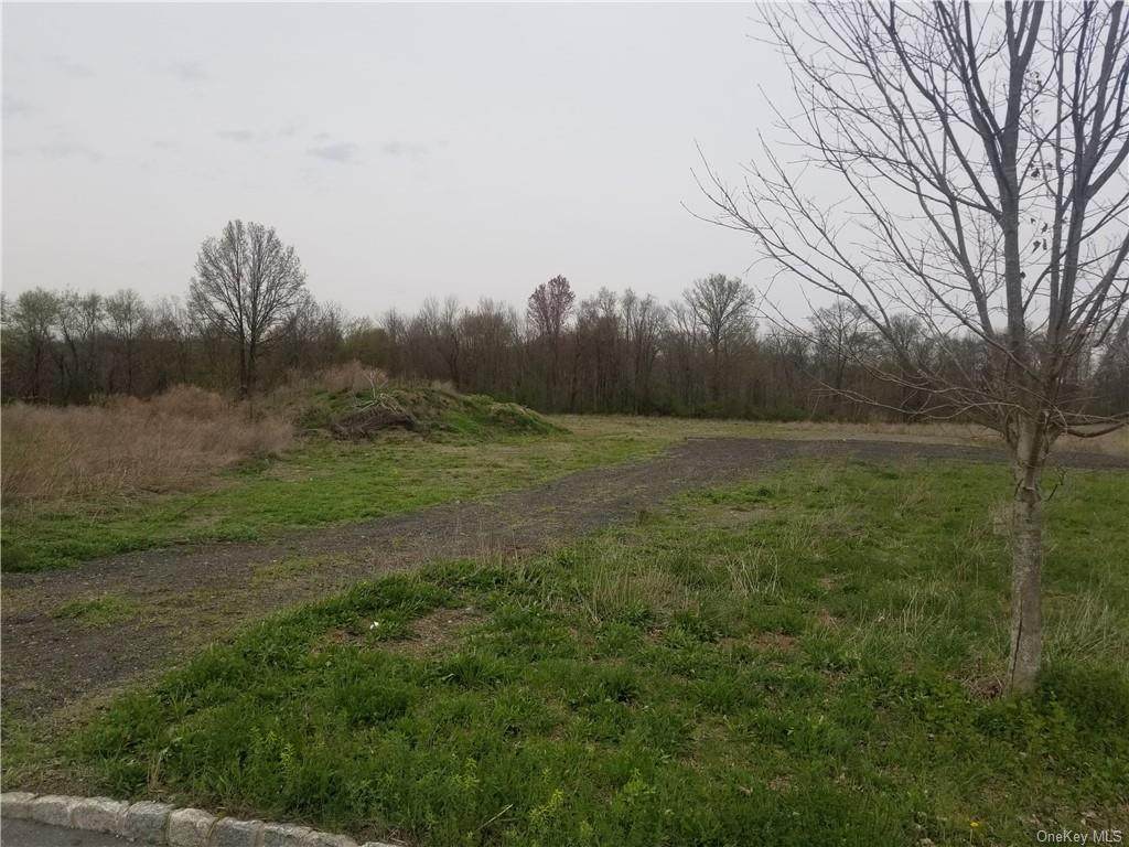 Marge Hortons Way - Photo 1