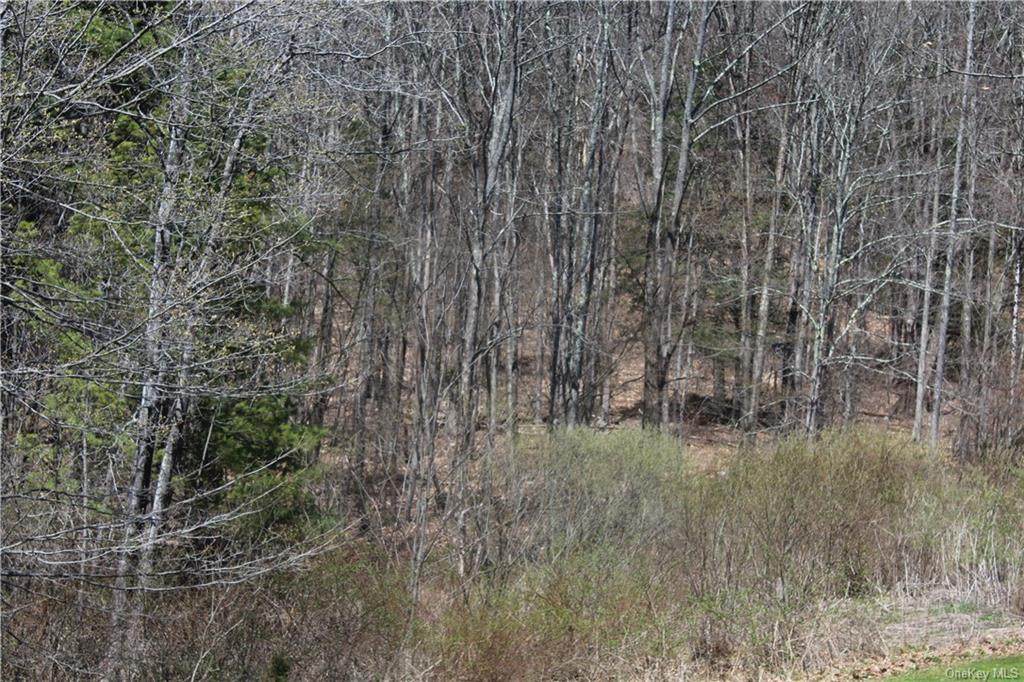 Old Route 17 Road - Photo 1